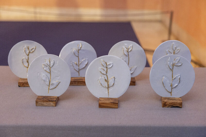 SIE Awards 2026